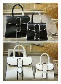 Picture of Delvaux Handbags _SKUfw173743141fw
